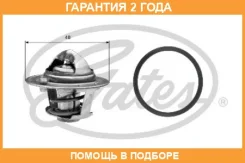 ��������� Gates / TH25782G1 �������� 24 ��� TH25782G1 ����