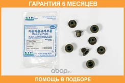 �������� Kormax / KHV800 �������� 6 ��� ���� �� 8 �� KHV800 ����