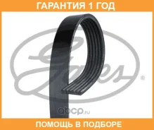 ������ ���������� Gates / 6PK1960 �������� 12 ��� 6PK1960 ����
