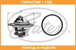 ��������� Gates / TH25782G1 �������� 12 ��� TH25782G1 ����