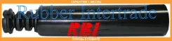 ������� ������������ RBI / T14NC42E0 �������� 1 ��� T14NC42E0 ����