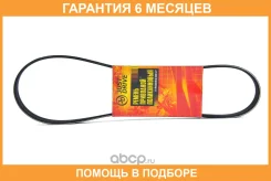 ������ JUST Drive / 5PK850 �������� 6 ��� 5PK850 ����