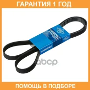������ ������������ SUN SUN / 6PK1680 �������� 12 ��� 6PK1680 ����