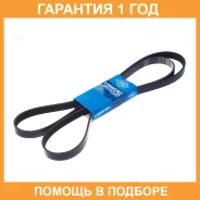 ������������ ������ SUN / 6PK2135 �������� 12 ��� 6PK2135 ����