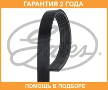 ������������ ������ Gates / 5PK955 �������� 24 ��� 5PK955 ����