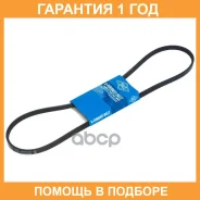 ������ ������������ SUN SUN / 3PK1055 �������� 12 ��� 3PK1055 ����