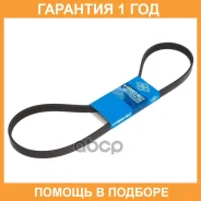 ������ ������������ SUN SUN / 5PK1055 �������� 12 ��� 5PK1055 ����