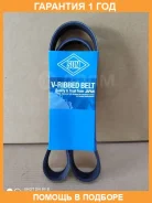 ������ ������������ SUN SUN / 6PK1060 �������� 12 ��� 6PK1060 ����