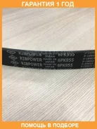 ������ ������������ SUN SUN / 6PK955 �������� 12 ��� 6PK955 ����