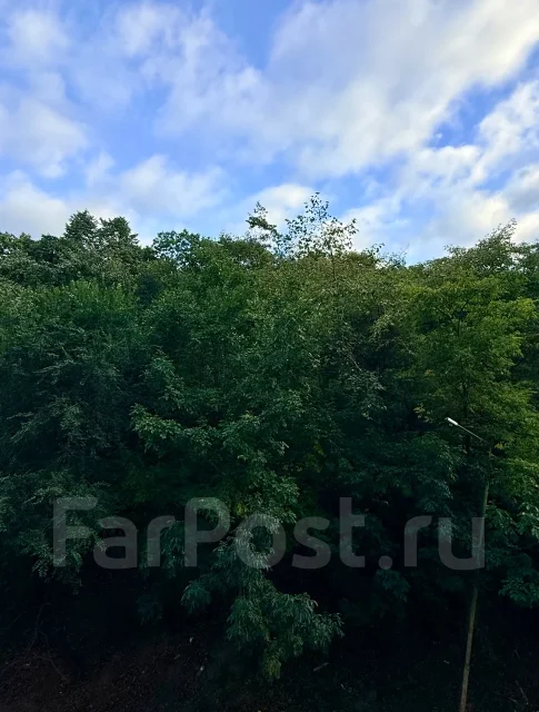 ��������, ����� �������� 125. ��������, ���������, 17���.��., 3/9 ����, ������������� ������. ��� �� ���� ���� ����