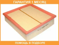 ��������� ������ Filtron / AP006 �������� 1 ��� AP006 ����