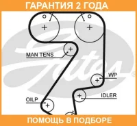 ������ ��� Gates / 5404XS �������� 24 ��� 5404XS ����