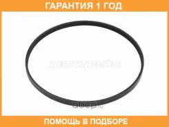 ������ ��������� SAT / 3PK810 �������� 12 ��� 3PK810 ����