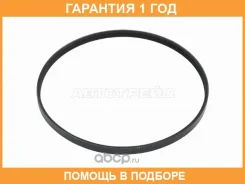 ������ ������������ SAT / 3PK855 �������� 12 ��� 3PK855 ����
