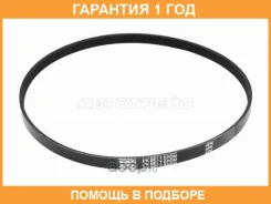 ������ ������������ SAT / 4PK825 �������� 12 ��� 4PK825 ����