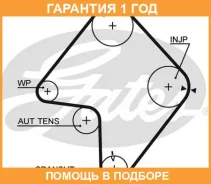 ������ ��� Gates / 5355XS �������� 12 ��� 5355XS ����