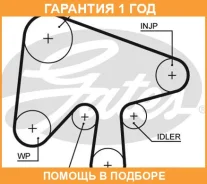 �������� ��� Gates / K025630XS �������� 12 ��� K025630XS ����