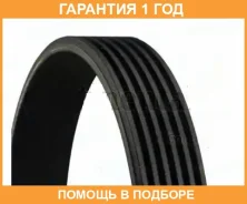������ ������������ GMB GMB / 6PK955 �������� 12 ��� 6PK955 ����