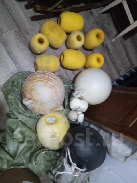 ������ ����� ����