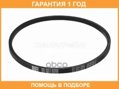 ������ �������� SAT / ST5400024 �������� 12 ��� ST5400024 ����