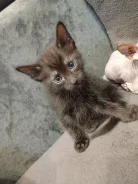 ������� ������. ����