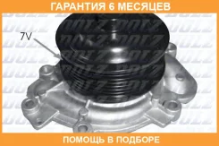 ������� �����, ���������� ��������� DOLZ / M231 �������� 6 ��� M231 ����