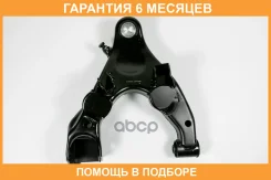 ����� ����� JUST Drive / JDCP0084L �������� 6 ��� JDCP0084L ����