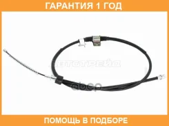 ���� ������� ������� _ _ SAT / ST520137 �������� 12 ��� ST520137 ����
