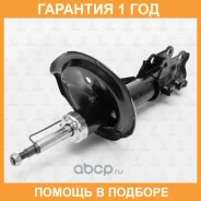 ����������� �������� ������� TORR / DV1256L �������� 12 ��� DV1256L ����