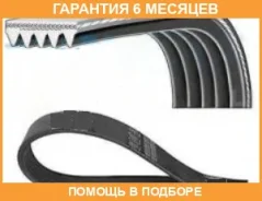 ������ JUST Drive / 5PK1355 �������� 6 ��� 5PK1355 ����