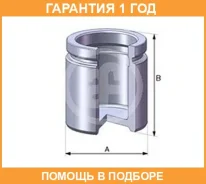 ������� ���������� �������� ����� D54 Seinsa Autofren / D02520 �������� 12 ��� D02520 ����
