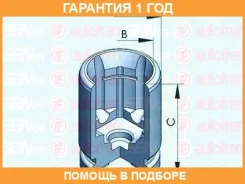 �������, ������ ����� ������� Seinsa Autofren / D025233 �������� 12 ��� D025233 ����
