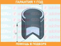 �������, ������ ����� ������� Seinsa Autofren / D025460 �������� 12 ��� D025460 ����
