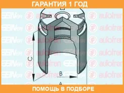 ������� ���������� �������� ��� Seinsa Autofren / D025530 �������� 12 ��� D025530 ����