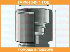�������, ������ ����� ������� Seinsa Autofren / D025641 �������� 12 ��� D025641 ����