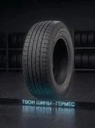 Triangle AdvanteX SUV TR259. ������, 2025 ���, ����� ����