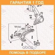 ����������� Tatsumi / TEF1562 �������� 12 ��� TEF1562 ����