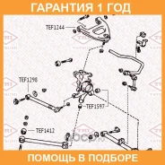 ����������� Tatsumi / TEF1597 �������� 12 ��� TEF1597 ����