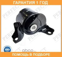 ������� ��������� ������ Perfect / HO81S5Araie �������� 12 ��� HO81S5ARAIE ����