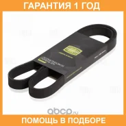 ������ ��������� Trialli / 6PK1130 �������� 12 ��� 6PK1130 ����