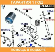 ����������� ������� / T202S �������� 12 ��� T202S ����