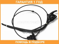 ���� ������ SAT / ST6001547330 �������� 12 ��� ST6001547330 ����
