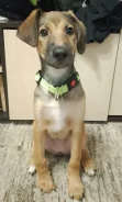 ������. ����