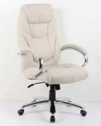������ ������������ ������� (���. SD2528) ����, ������� �������� ����� ����