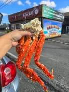 ���� ����������. ����