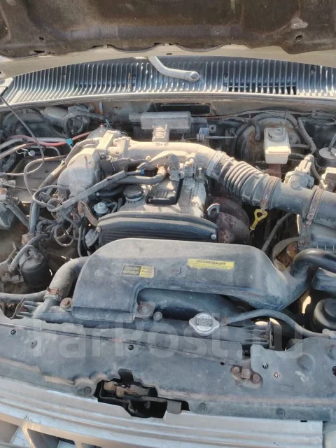 Kia Sportage ����