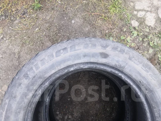 Federal Himalaya WS2. ������, ����������, 2017 ���, �/�, ����� 40 % ����