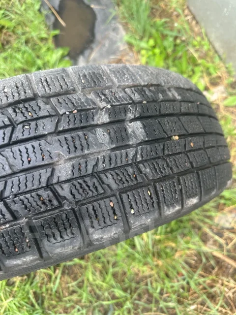 Dunlop Graspic DS3. ������, ��� �����, �/�, ����� 30 % ����