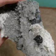 ������� ����� ������, �������, ��������, ������� ����