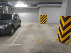 ����� �����������. ����